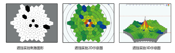 遮擋試驗